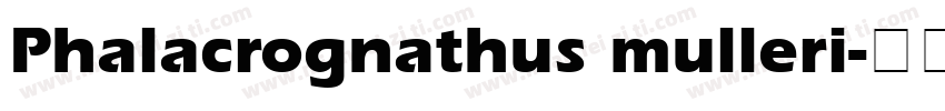 Phalacrognathus mulleri字体转换